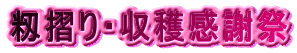 EnӍ