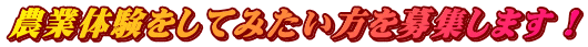 農業体験をしてみたい方を募集します！
